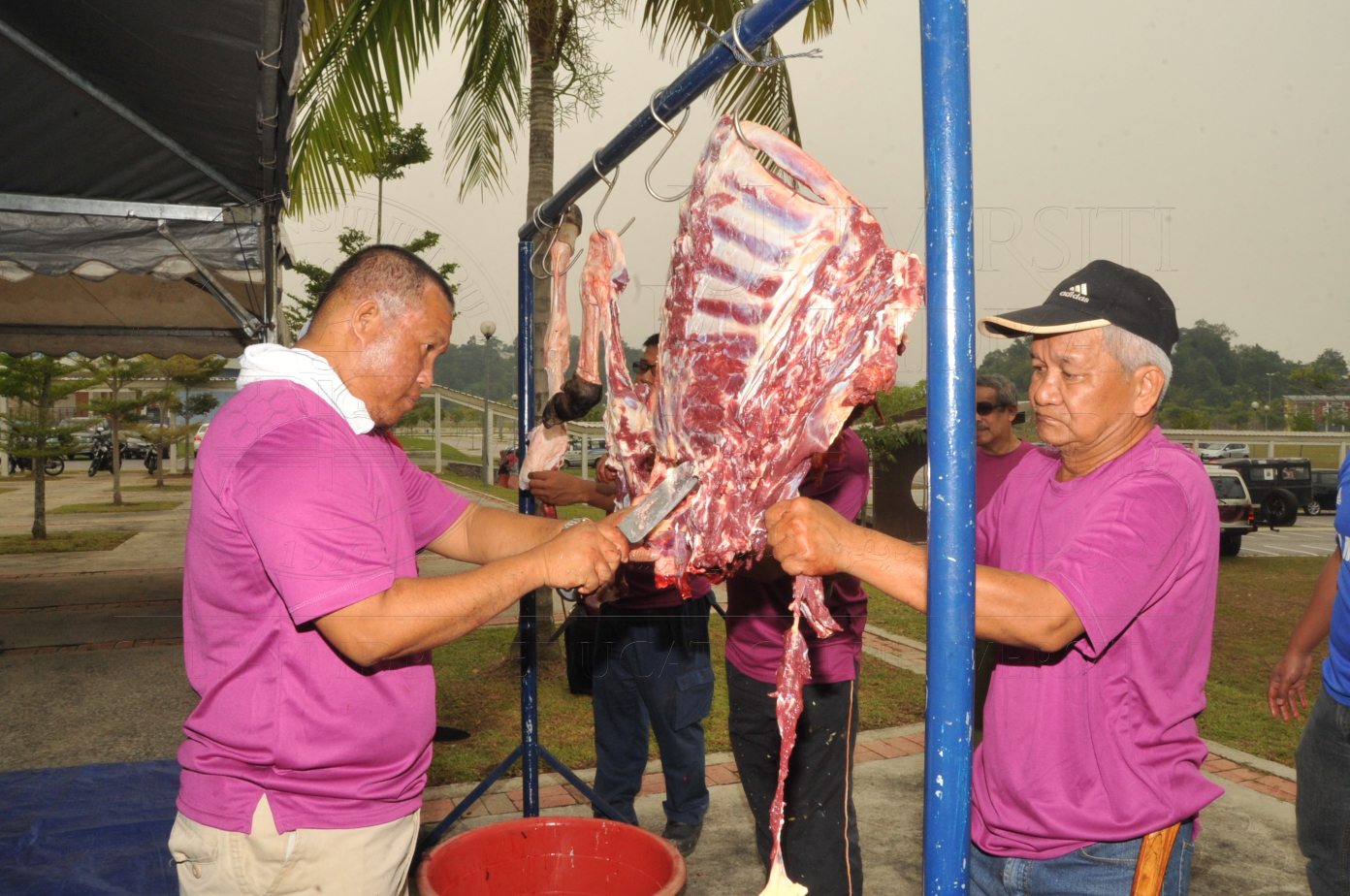 PRO15 150 KORBAN HAS 6913